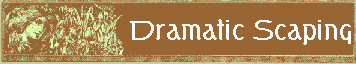 Dramatic Scaping